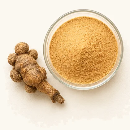 Panax notoginseng total saponin (Ginseng Plus®)