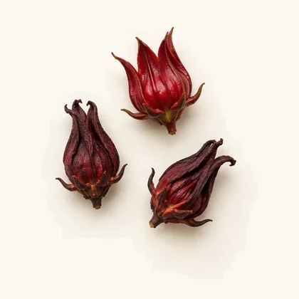 Roselle extract (Hibiscus sabdariffa)