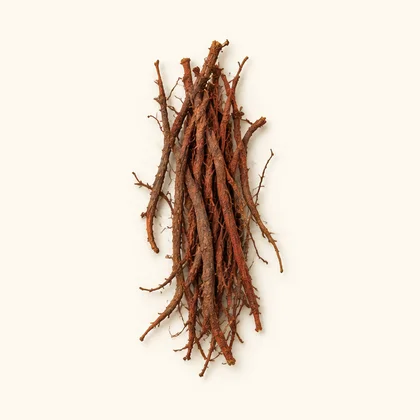 Yunnan madder root (Rubia yunnanensis)