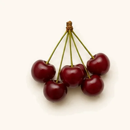 Tart cherry (Prunus cerasus)