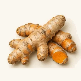 Turmeric (curcumin) (Curcuma longa)